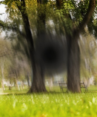 image article